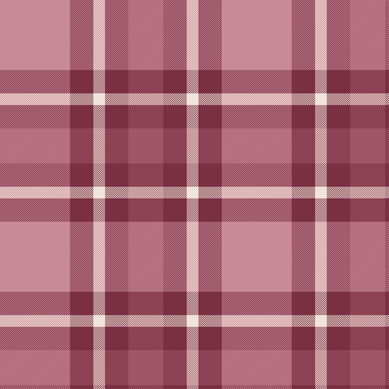 Tartan Leather Bag