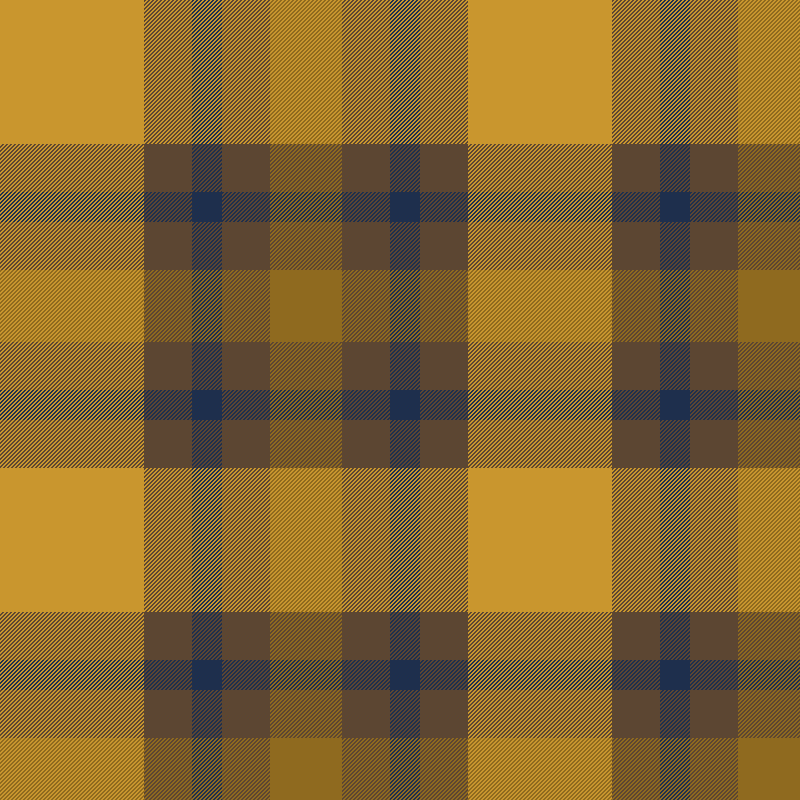 Tartan Alpine Boots